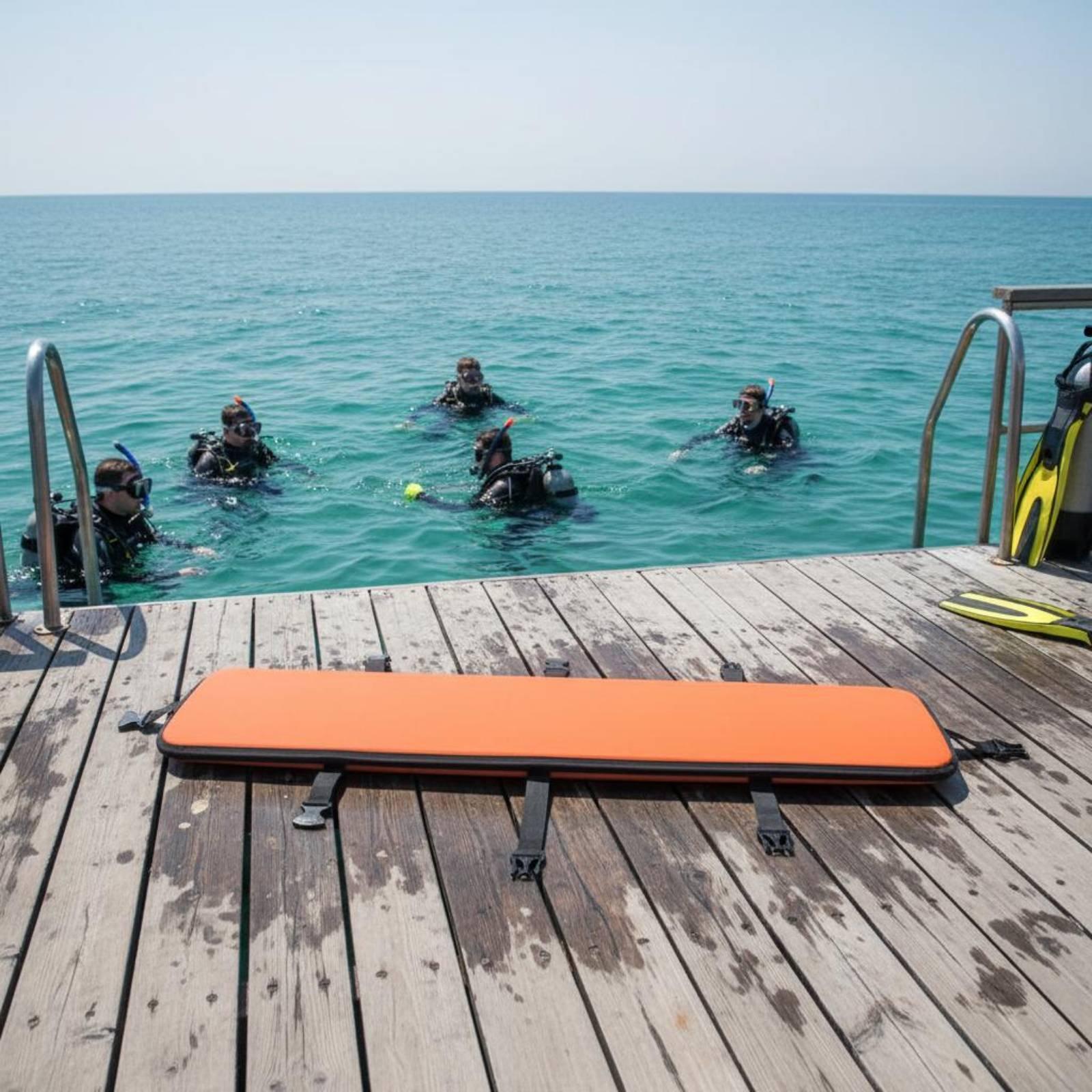 Diving Fins Carrier Waterproof - Swim Fins ulasan dan harga